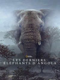 Affiche de Ghost Elephants