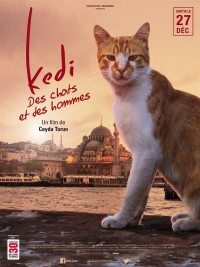 Affiche de Kedi - Des chats et des hommes