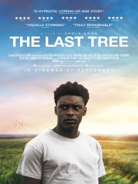Affiche de The Last Tree