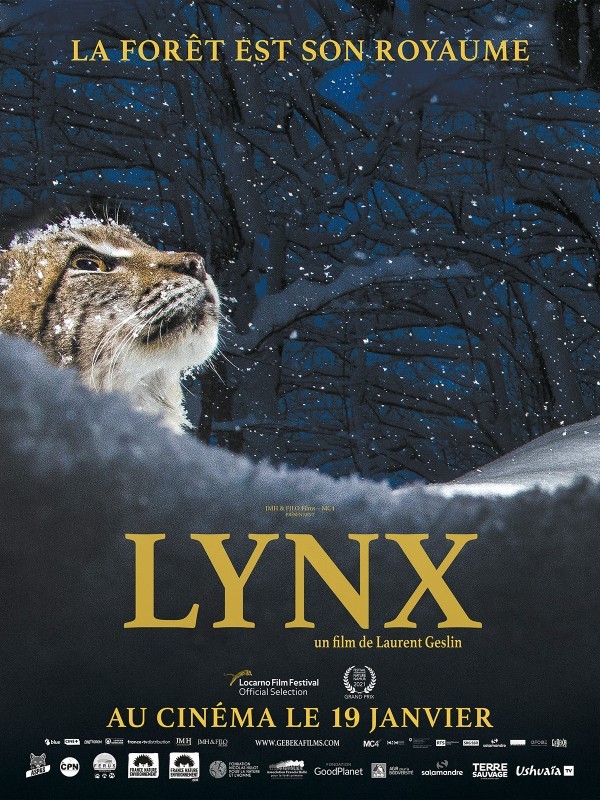 Affiche de Lynx